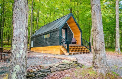 Wellsboro House | A-frame 1