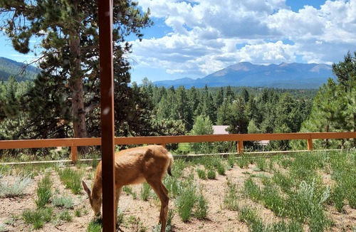Woodland Park Ski Chalet | A-Frame Above the Clouds w/Rare Views on 1.5 acres
