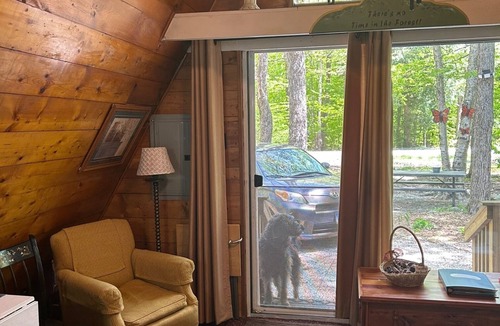 Becket Cabin | A-Frame in Sherwood Forest