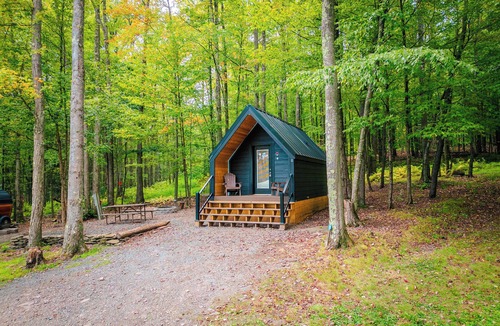 Wellsboro Cabin | A-frame Principal Sum