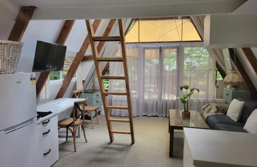 Parnell Ski Chalet | A-frame Studio in Parnell