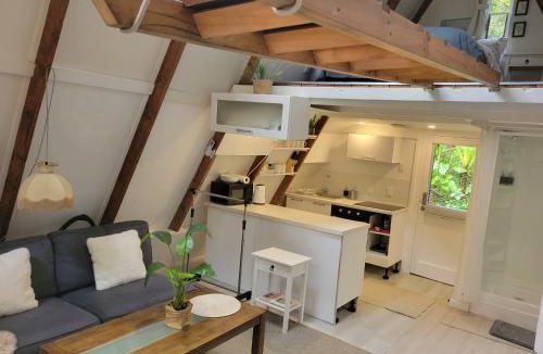 Parnell Ski Chalet | A-frame Studio in Parnell