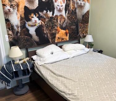 Fredericton Apartment | A fully self-contained one-bedroom apartment