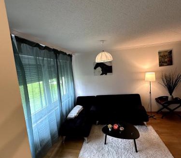 Baden Apartment | A furnished room in our cozy apartment
