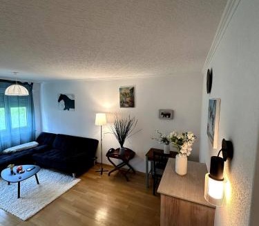 Baden Apartment | A furnished room in our cozy apartment