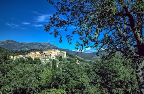 Piedigriggio House | A Ghjuvellina