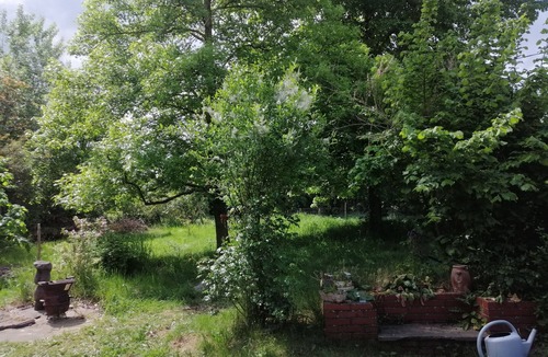 Arnage House | A green setting, 7km from the Circuit des 24h