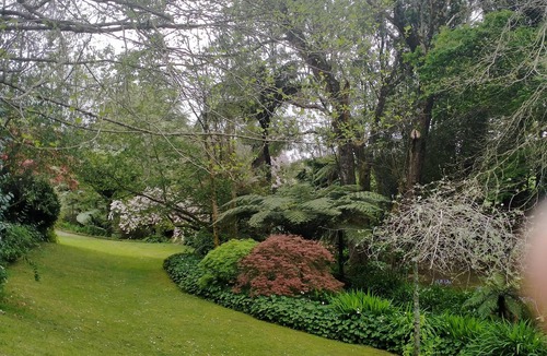 Waikino Cottage | A Heavenly Stay