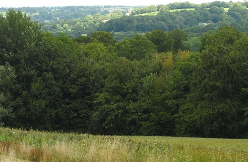 Kingscote Apartment | A Hidden Gem