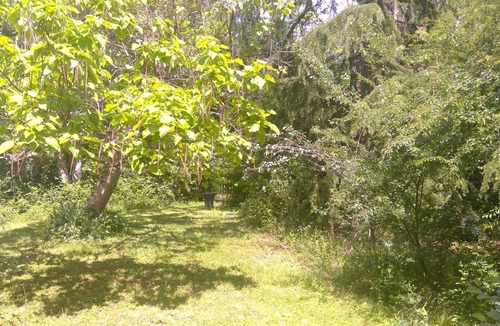 Vaas House | A house in a natural park with solar energy