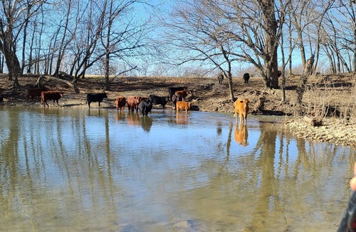 Elk County House | A Hunter's Paradise