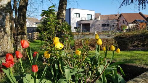 Lampertheim Apartment | A l'Ancien Moulin