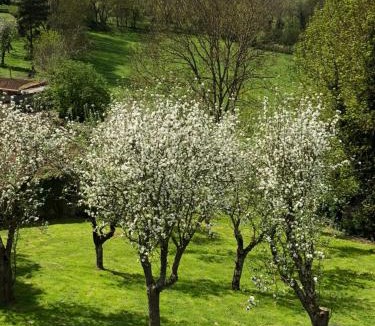 Charbonnieres-les-Vieilles House | A l'Aube des Volcans