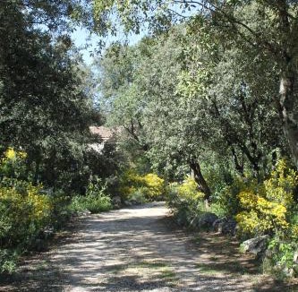 Saint-Siffret House | A l'Est d'Uzès
