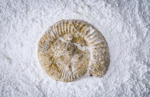 Remilly-en-Montagne House | A l'ombre du Chêne