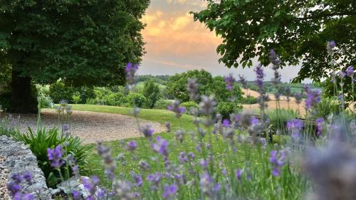 Sud Charente Bed & Breakfast | A l'ombre du Tilleul