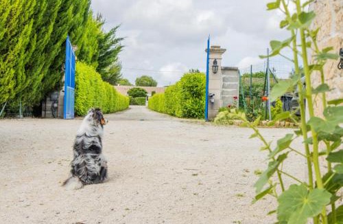 Belluire Bed & Breakfast | A la beun'escale