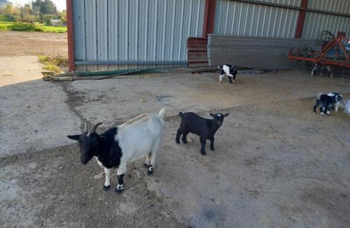 Ramillies House | A la ferme chez Christian