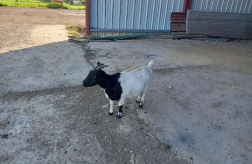 Ramillies House | A la ferme chez Christian