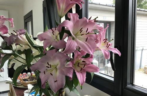 Coueron House | A la guiniere