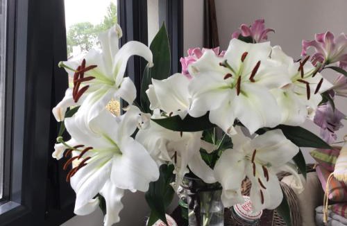 Coueron House | A la guiniere