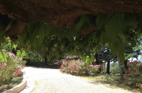 Aups House | A little paradise in Provence