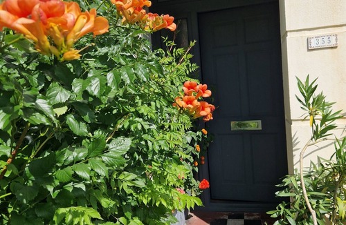 Lee Green Apartment | A lovel one bedroom.