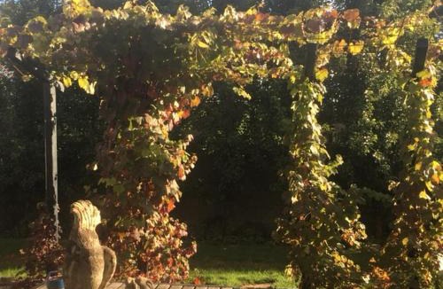 Trentham Bed & Breakfast | a'meadow