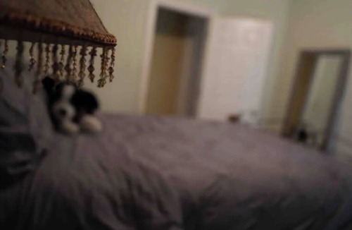 Carencro House | A Memorable Getaway: Minutes from Downtown