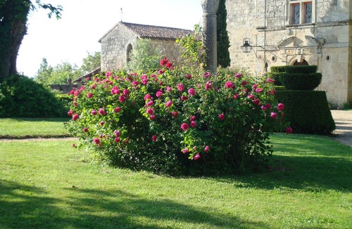 Frechou House | A memorable, romantic experience at the Château du Fréchou and its Gardens