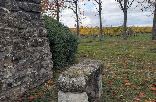 Montreuil-Bellay House | 🍇 A mill in the heart of the vineyards! 🌞 Come live and discover Anjou