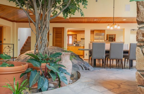 Chapel Hill House | A natural oasis and architectural wonder in Chapel Hill
