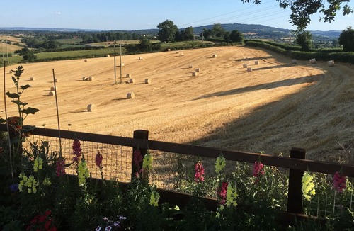 Newent Apartment | A newly Renovated and Exclusive Studio