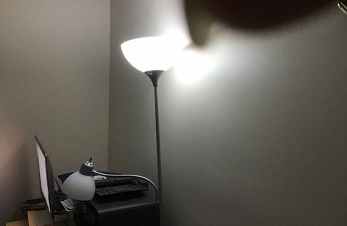 Plainsboro Condo | A nice place near Princeton University