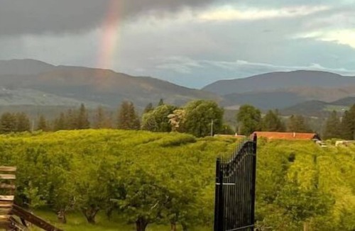 Kettle Falls Cottage | A peach of a place