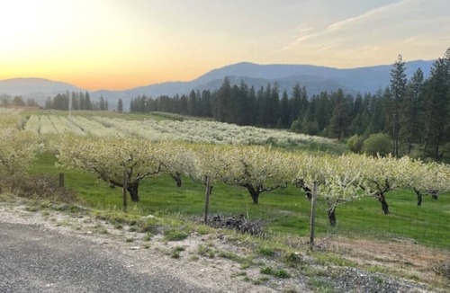 Kettle Falls Cottage | A peach of a place