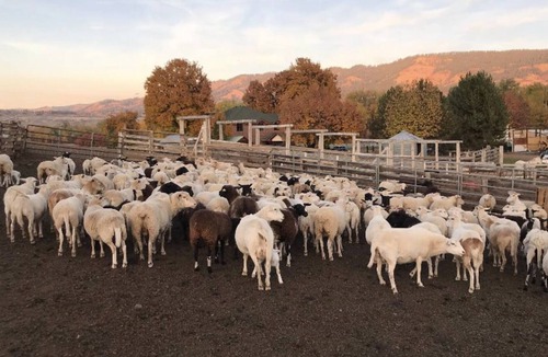 Tamarack Cabin | A Perfect Getaway!!!