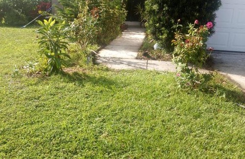 Poinciana House | A Perfect Place to Stay