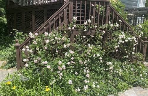 Weston House | A private room for any traveler