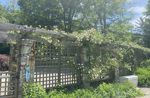 Weston House | A private room for any traveler