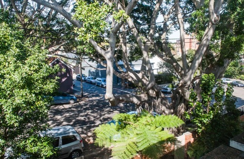 Woollahra Apartment | A Provincial Abode in Woollahra