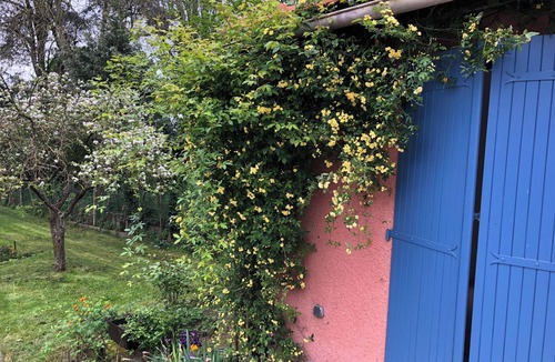 Chatou House | A self-contained studio in a green setting