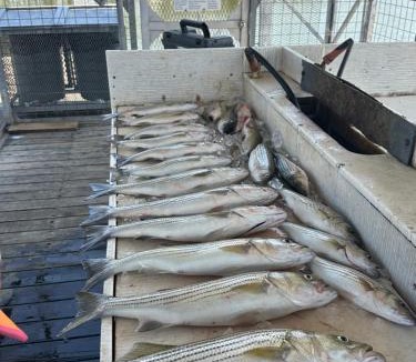 Kingston House | A Shore Thing-Beach-Fishing-Fire Pit-Relax-Pets