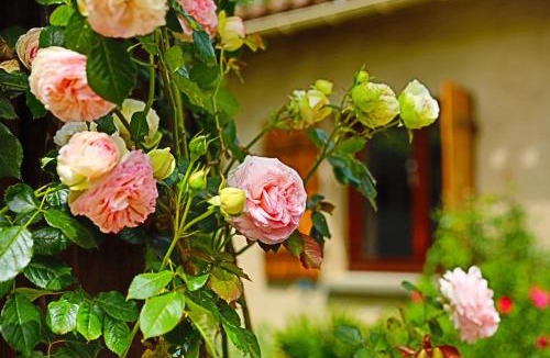 Armous-et-Cau House | A Soulas