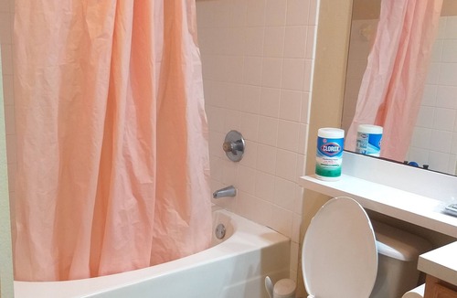 Sugar Land Apartment | A spacious 1-bedroom with bathroom available in a 2-bedroom apartment