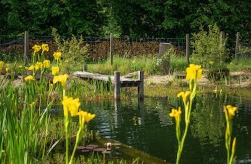 Abjat-sur-Bandiat Cottage | A tranquil setting with beautiful views