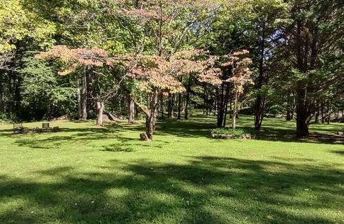 Peaks Cabin | A true hidden gem on Stoney Creek! Relax, unwind, and enjoy a peaceful getaway!