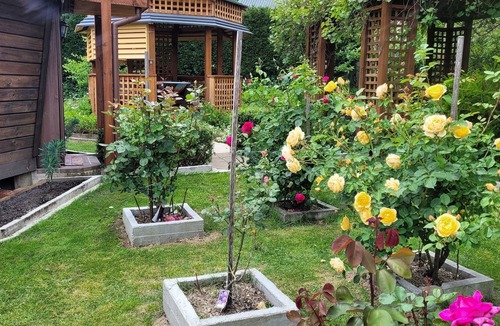 Bowral Cabin | A unique Southern Highlands experience