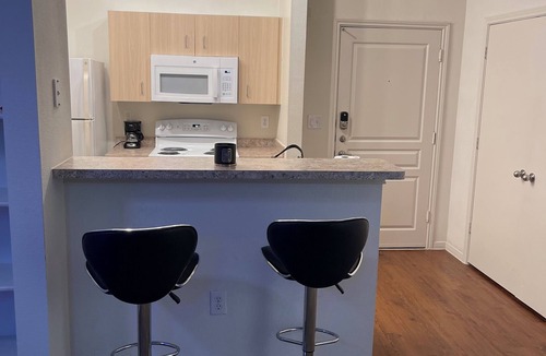 Midtown Apartment | A Vibe in Midtown Houston.