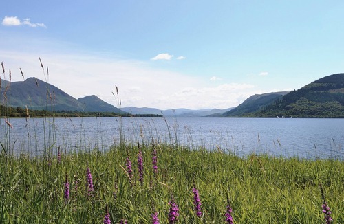 Westward Cottage | A well-equipped barn conversion in a central location.